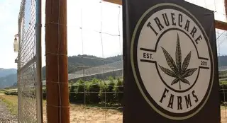 TrueCare Farms: Mkob X Jager