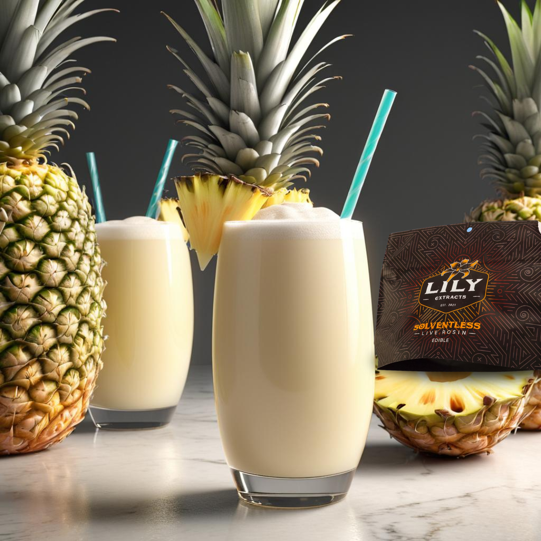 Lily Extract- PIÑA EXPRESS COLADA LR 100mg PECTIN CHEWS