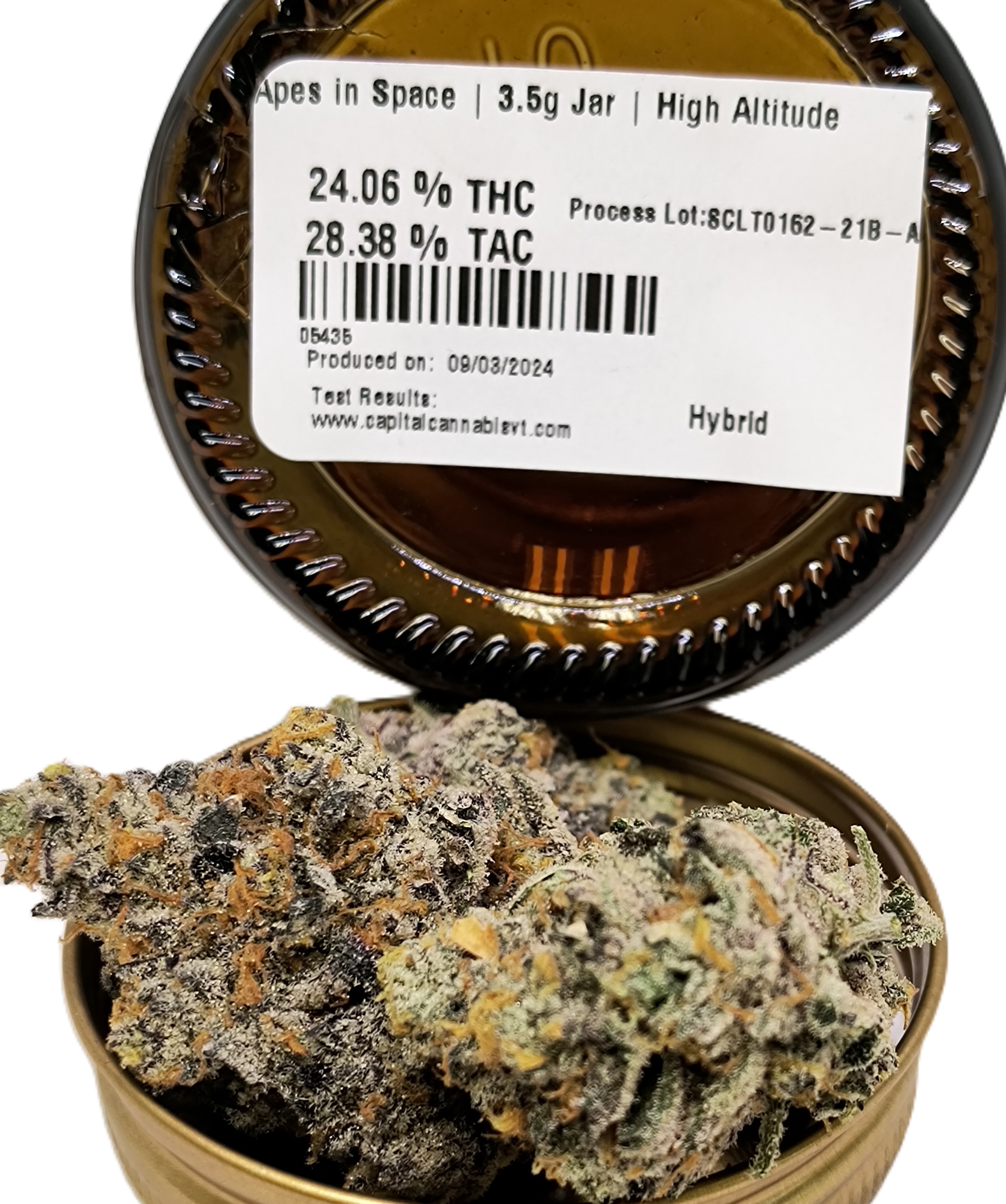 Apes in Space Jar | High Altitude