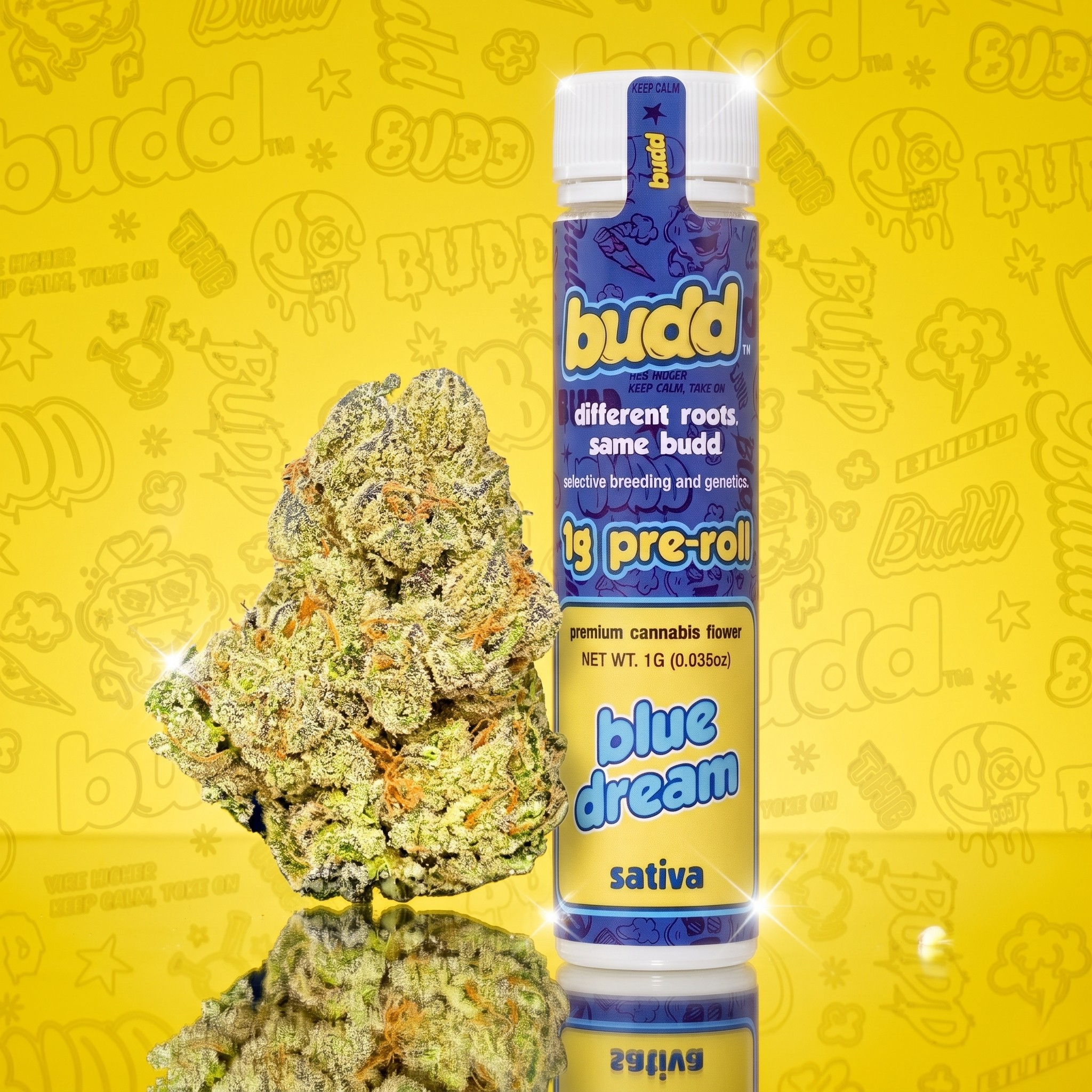 Budd | Blue Dream | 1g pre-roll (S)