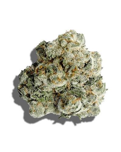 Grape Pie - 1oz in Gould City