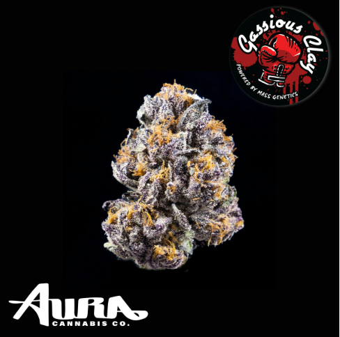 Aura | Gassius Clay product photo