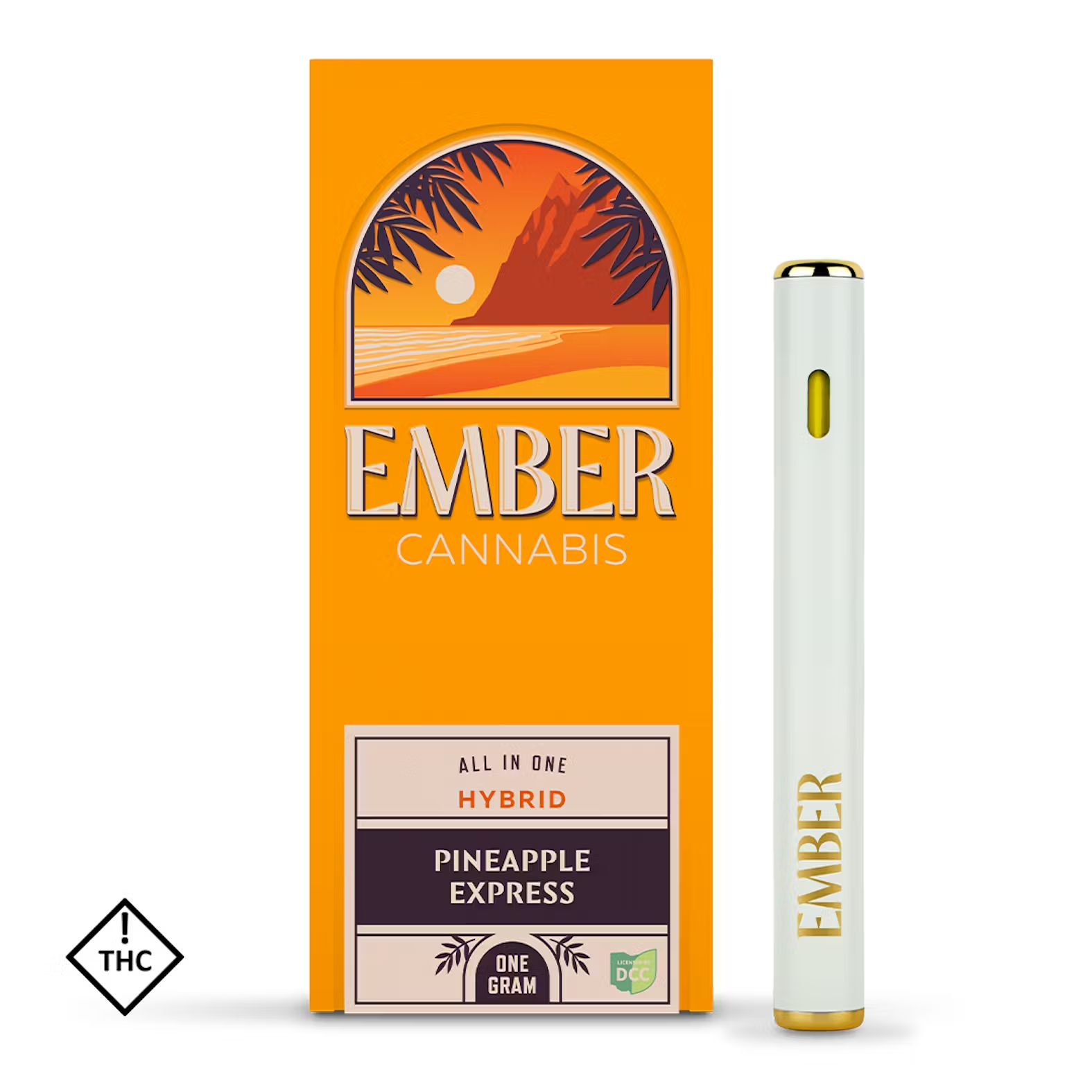 PE Disposable