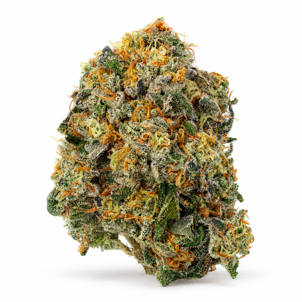 Truffle Monkey