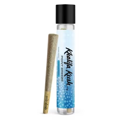 Point Breeze | Pre-Roll 1pk | 1g product photo