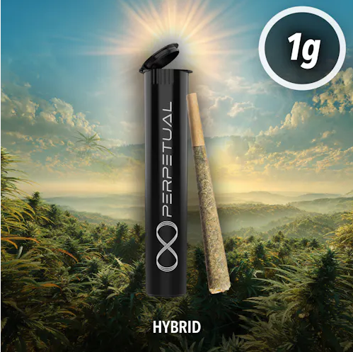Porto Leche #2 | 1G Preroll (TAX INCLUDED)
