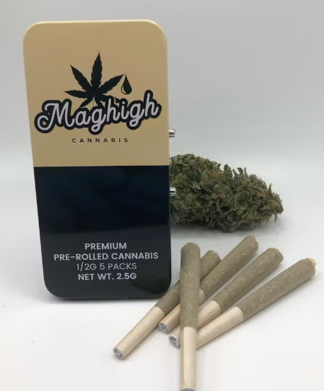 Apple Mochi Gelato 5pk