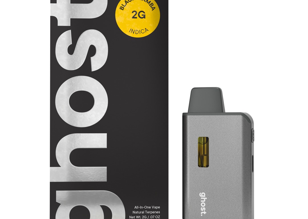 2g Black Mamba All-In-One Vape