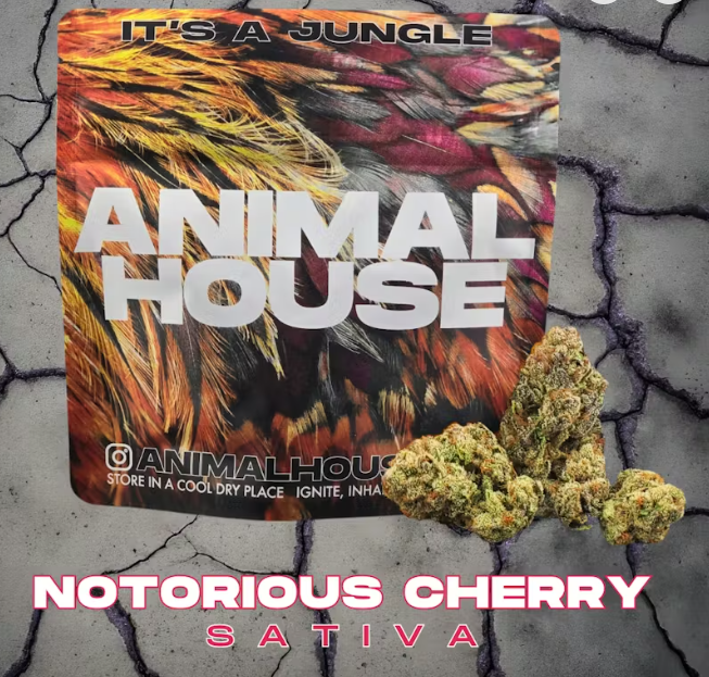 Notorious Cherry | Flower | 3.5g