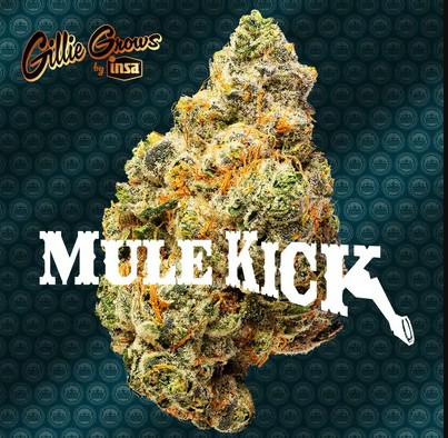 Mule Kick | 3.5g