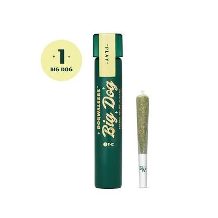 Dogwalkers Big Dog | Jack's Delight (Sativa)