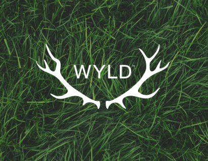 Wyld - Gummies - Kiwi (1:1) (THC:THCv) 100mg