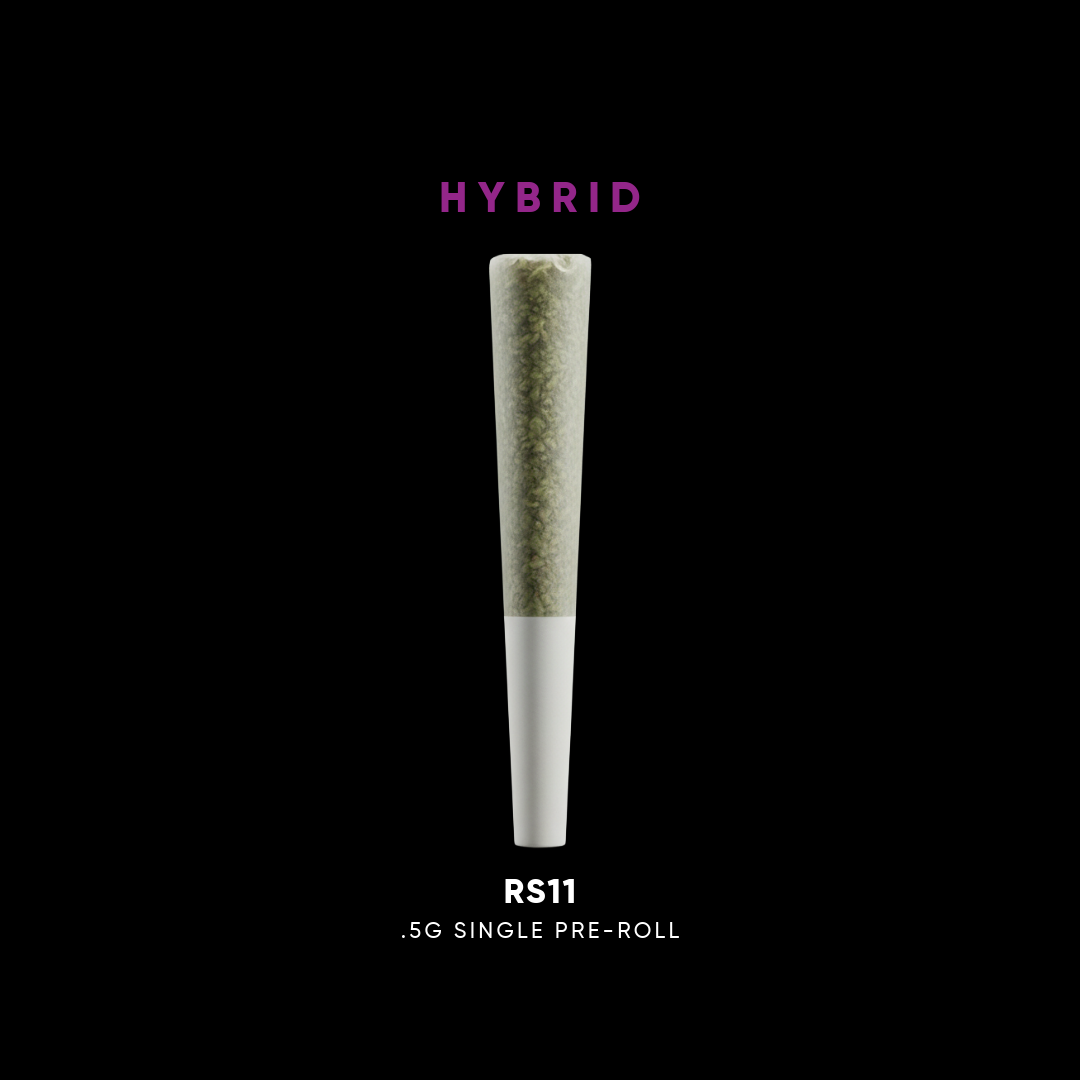 House Of Sacci | RS 11 | Pre-Roll | 0.5g
