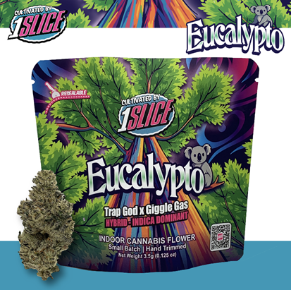 Eucalypto Indoor Flower