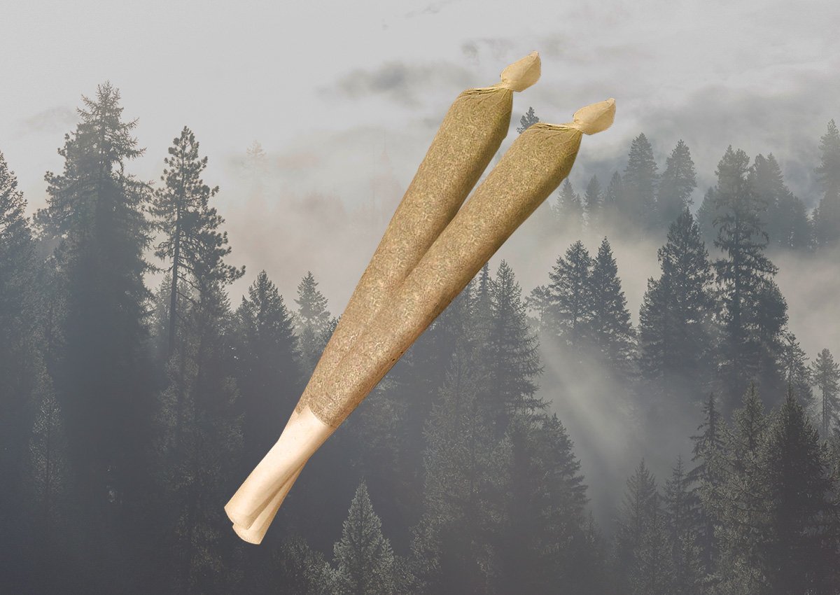 DRAGON HEART PreRoll 2pk | 1g