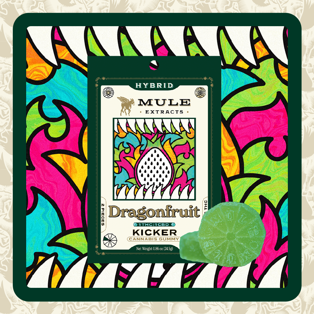 100mg 2-Piece Dragonfruit 1:1 THC:CBD Kicker (Hybrid)