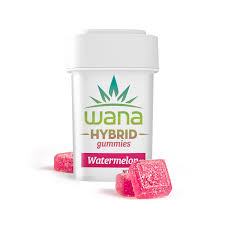GUMMY WATERMELON (H) [10PK] 100MG