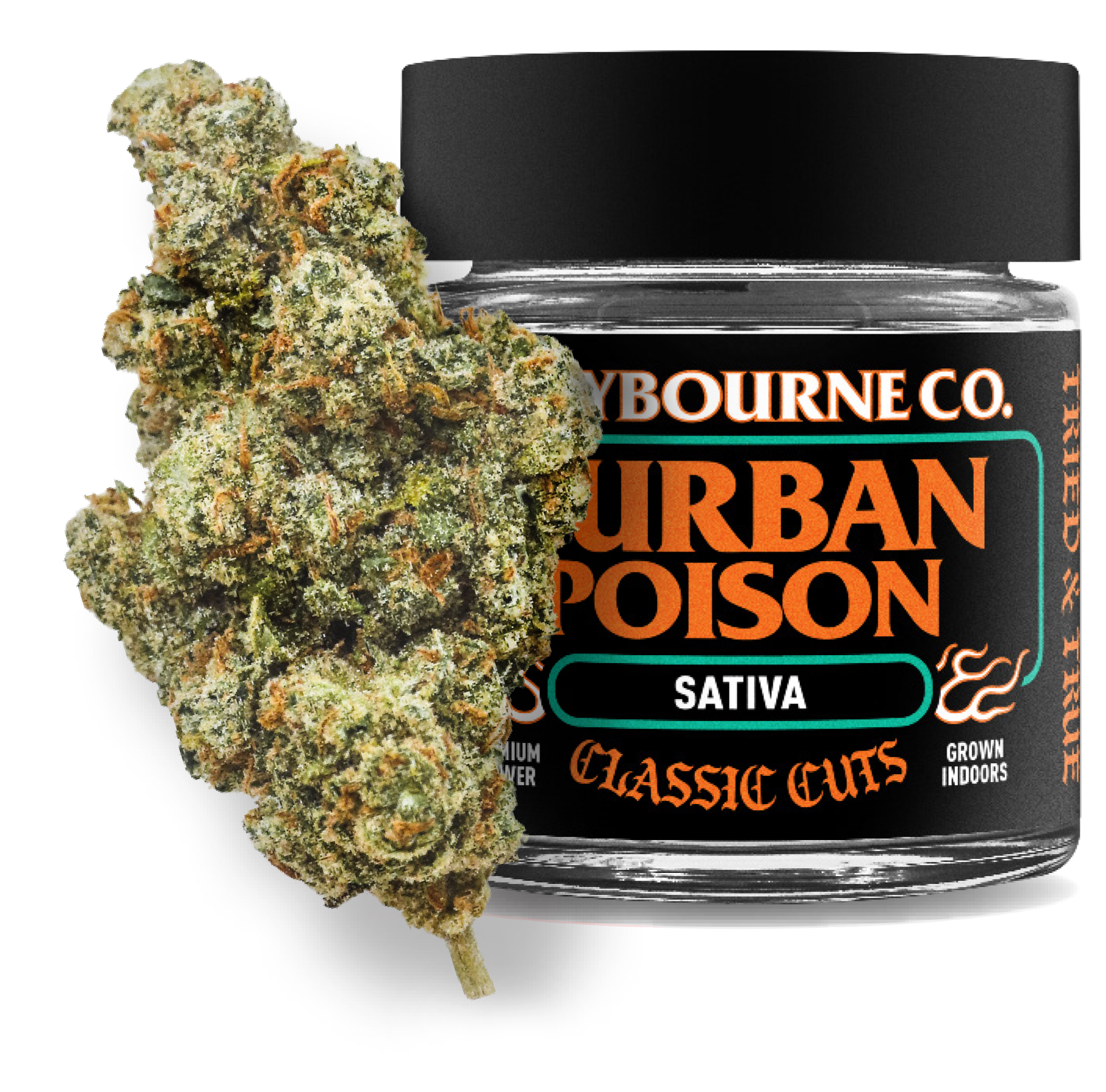 Claybourne Classic Cuts | Durban Poison - Indoor Large Bud