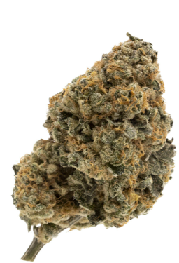 Chatty Kathy - Sativa - Flower  - 3.5