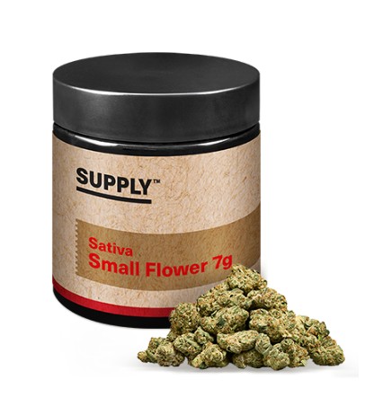 Strawberry Barbara Smalls | 7g