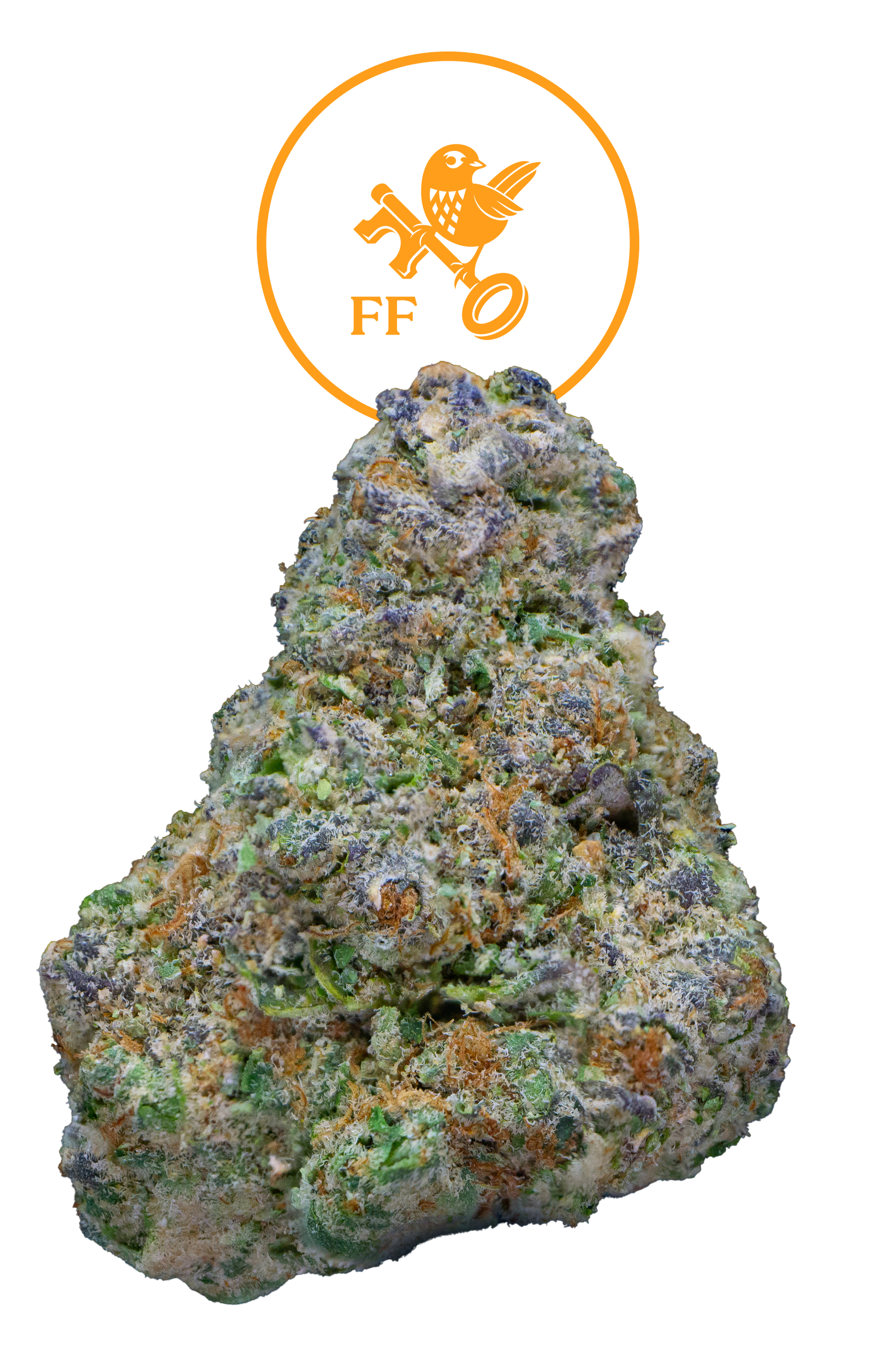 FRANKLIN FIELDS | BULK FLOWER | ORANGE CANDY