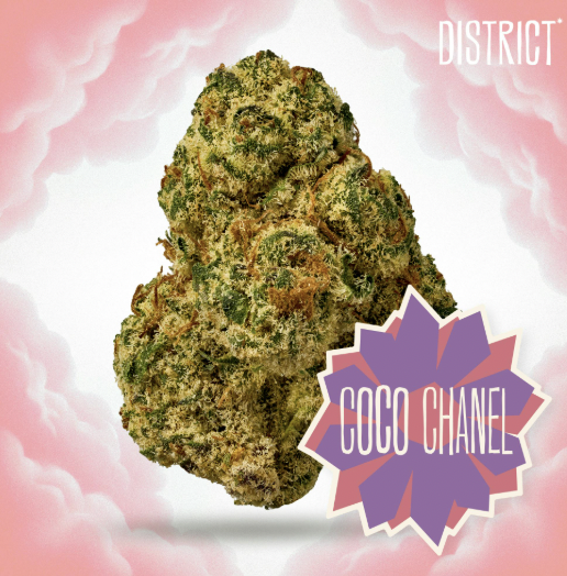 District Cannabis I Flower I Coco Channel I 14g