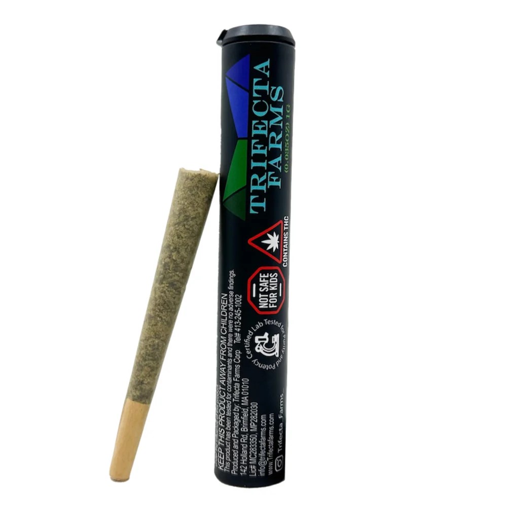 Lemon Cherry Sherbet | Pre-Roll 1pk | 1g