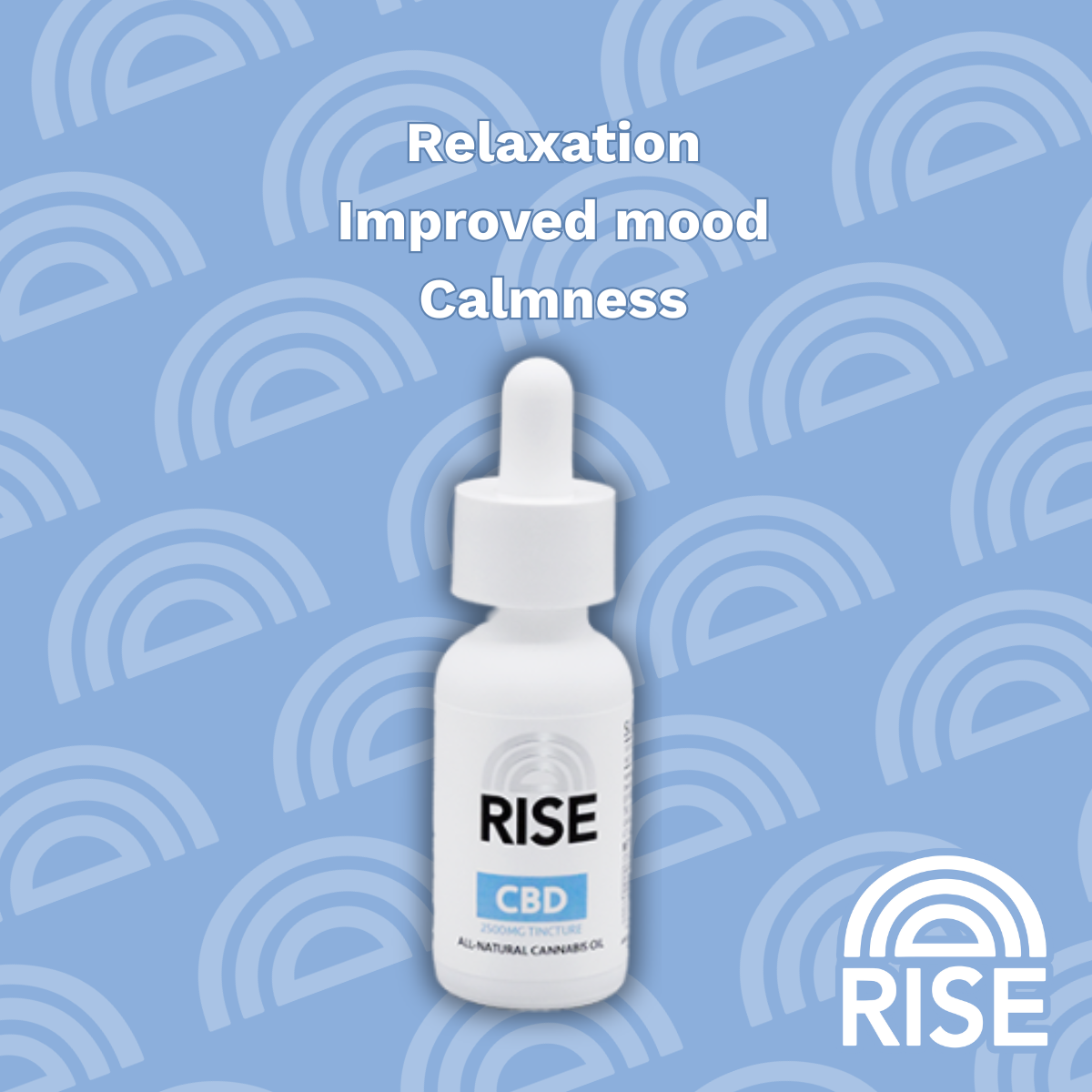 RISE RISE CBD Tincture – 2500MG