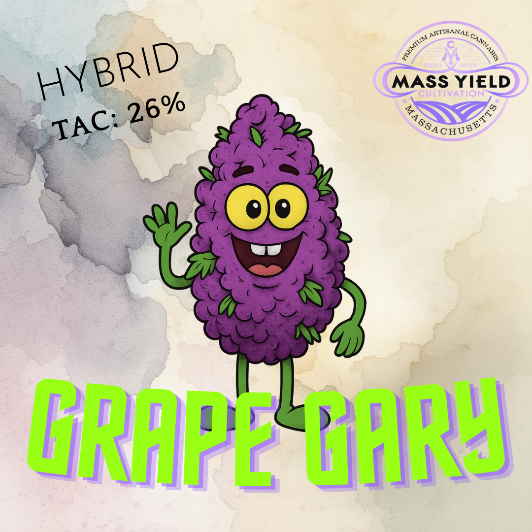 Mass Yield - Grape Gary Deli Style Flower