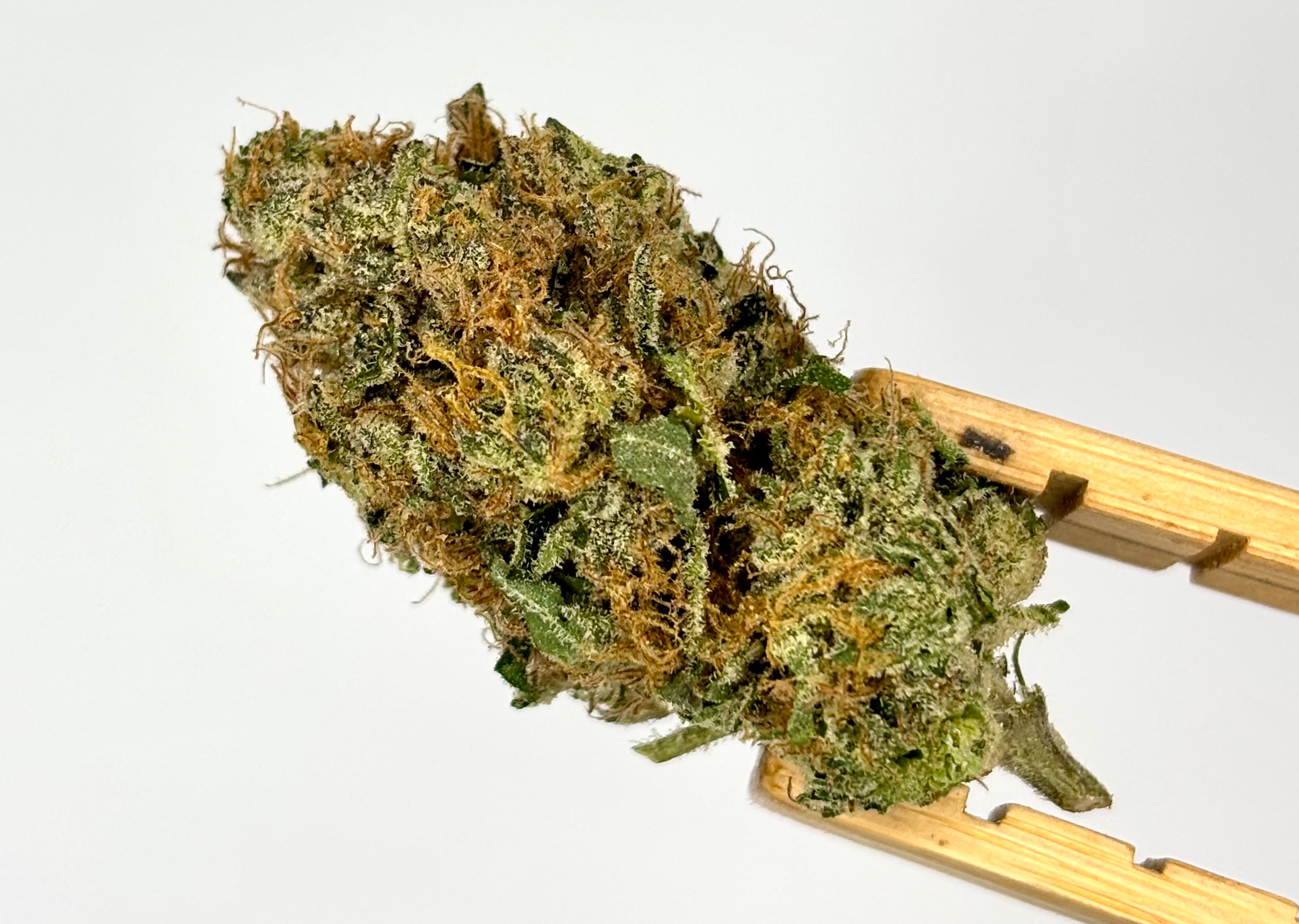 Zlush Runtz | Bulk Flower | Platinum Tier