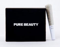 Pure Beauty Babies 10pk Black Box Hybrid