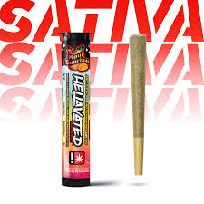 Maui Sunrise Infused Pre-roll