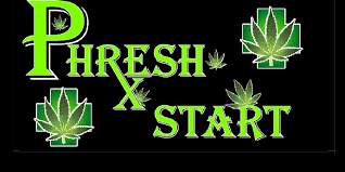 PHRESH START | CURED RESIN | PINK CERTZ