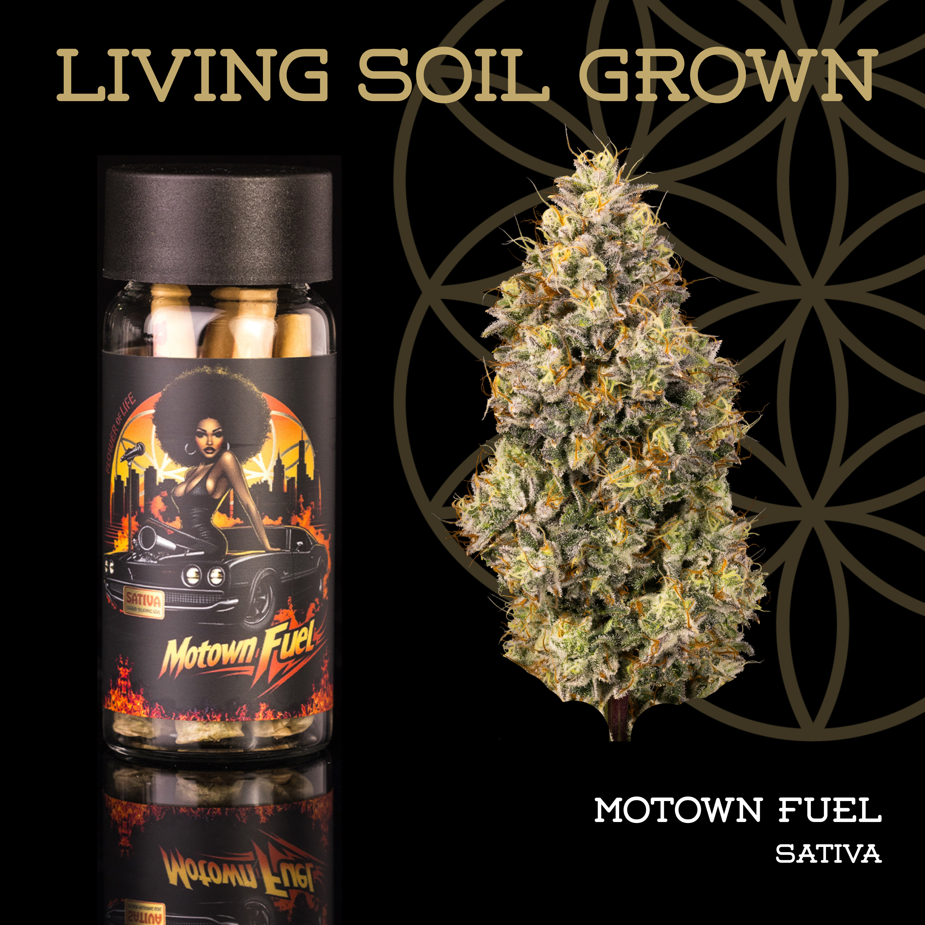 Motown Fuel | Pre-Roll 5-Pack | 2.5g | Living Soil