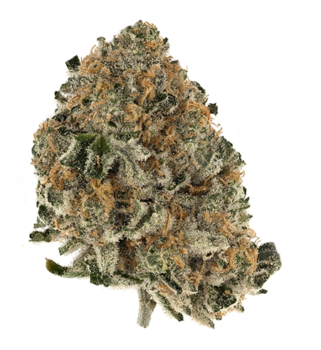 Rainbow Chip |  Buds |