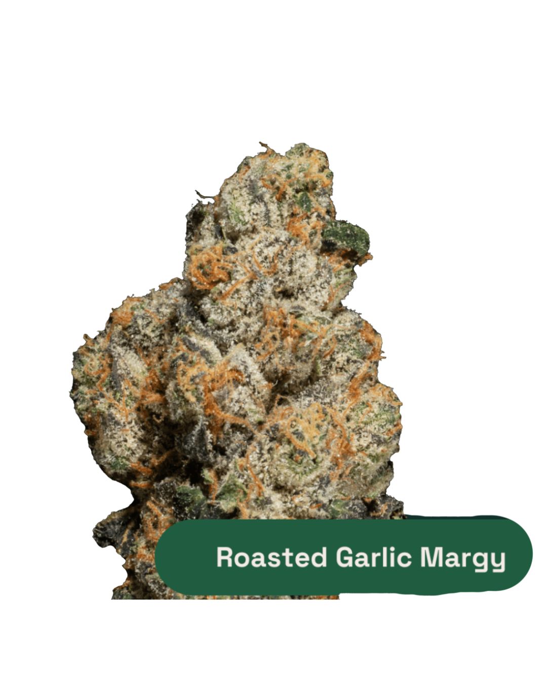 Roasted Garlic Margy MT | Flower |