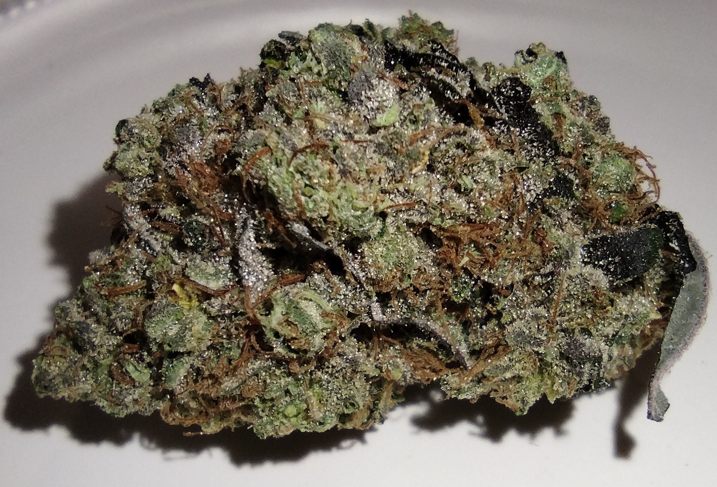 Dakota Natural Growers - Biker Kush - 3.5g - Flower