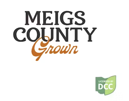 Strawberry Chocolate