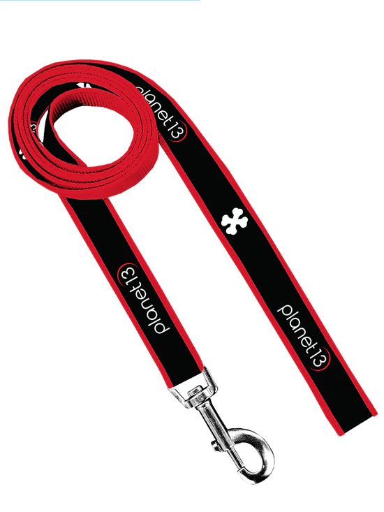 P13 Dog Leash