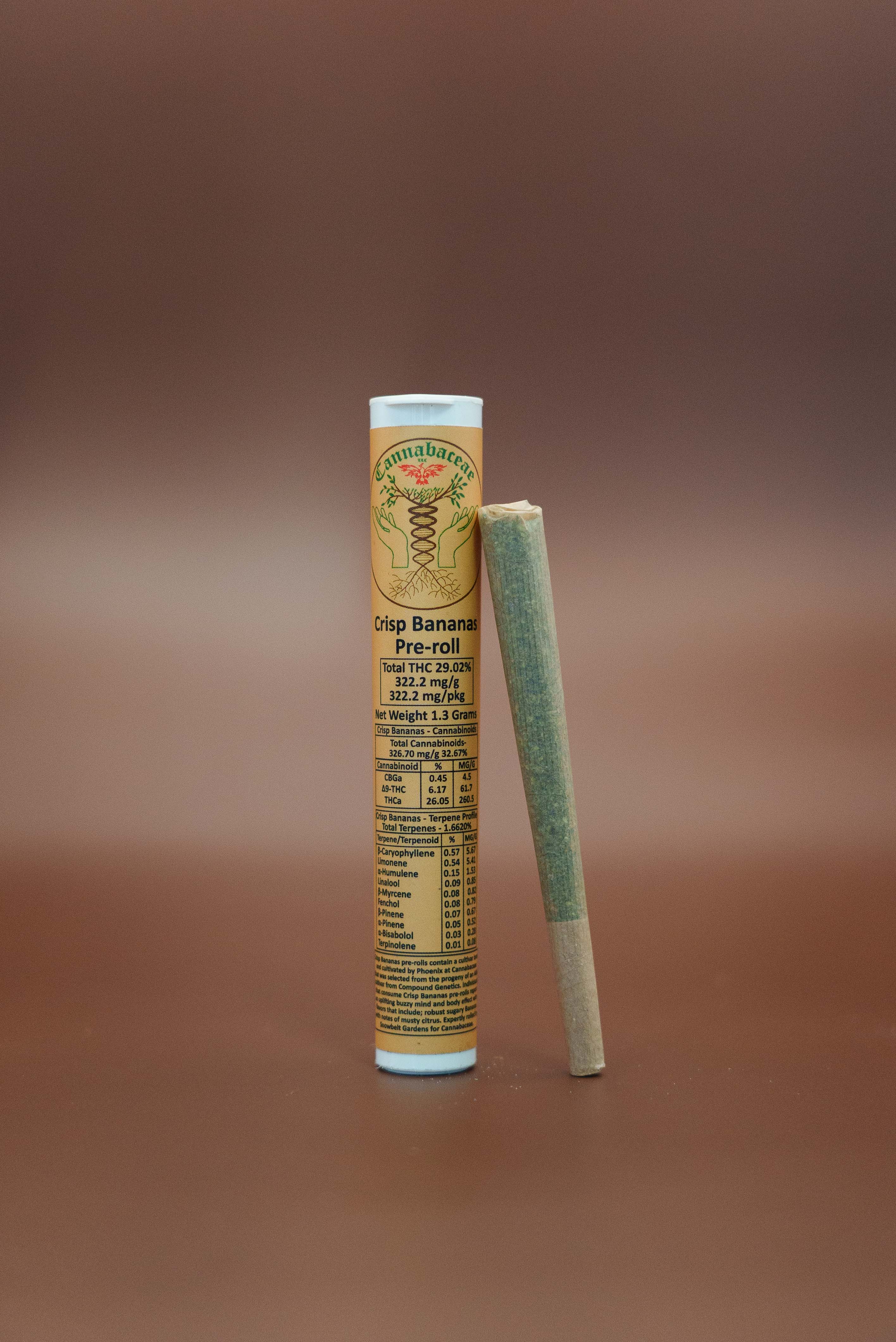 CRISP BANANAS | 1g | SATIVA | 29% | SINGLE | PRE-ROLL