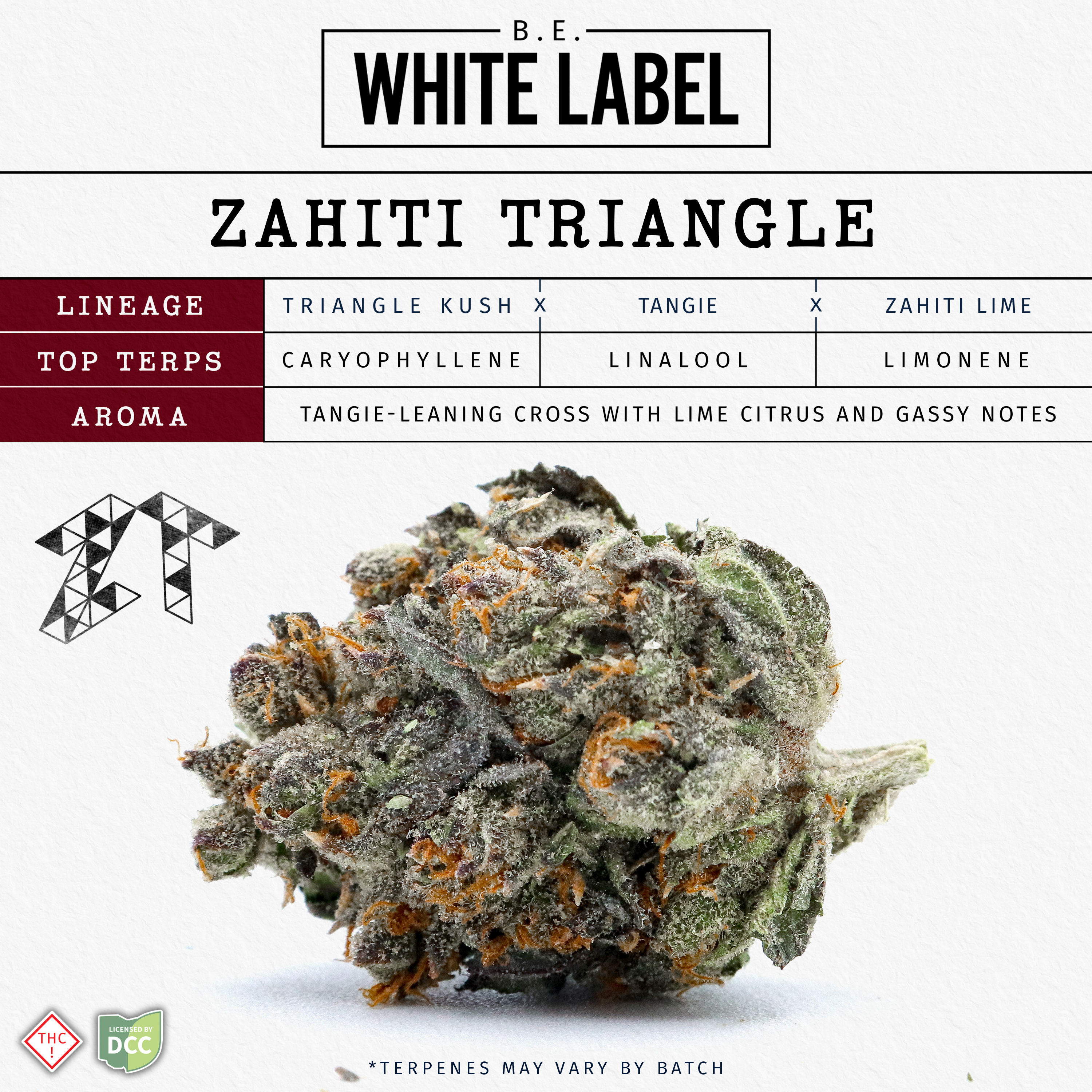 Zahiti Triangle [28.3g]