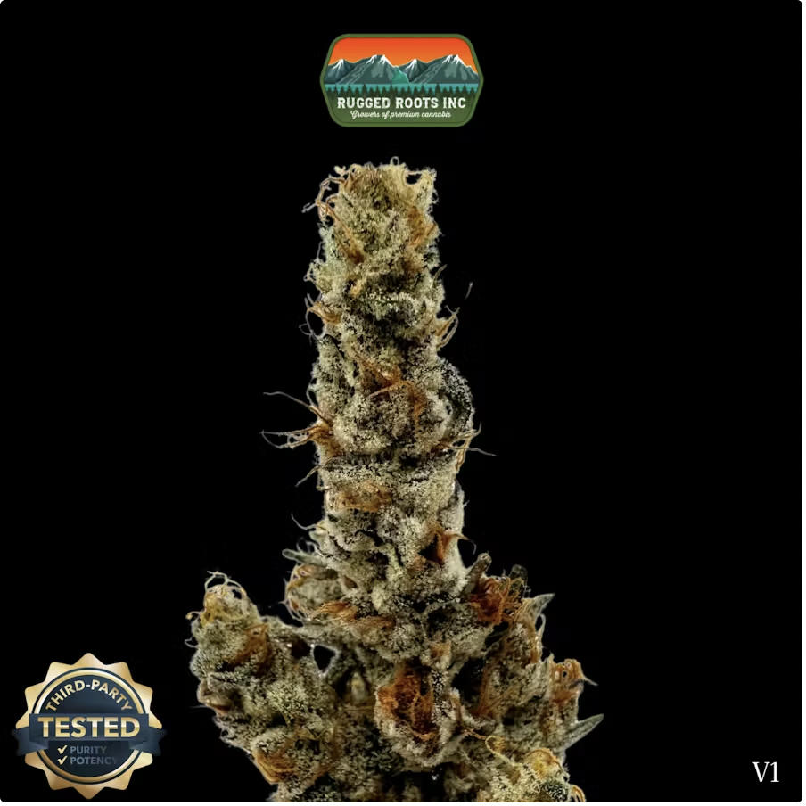 RuggedRoots - Cheetoz - 1g - S