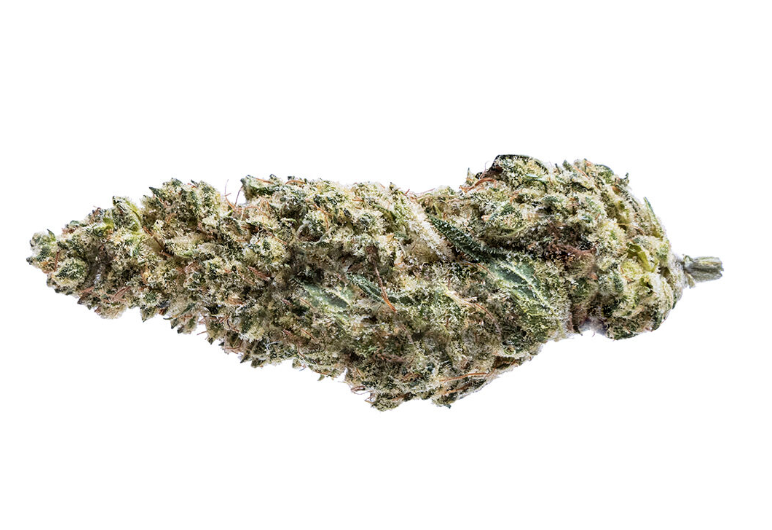 Blue Dream #16 - 28g