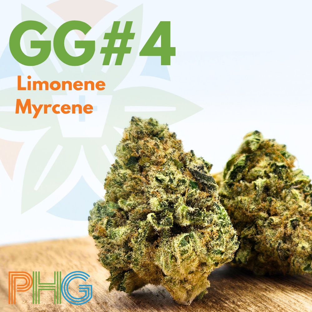 Gg#4