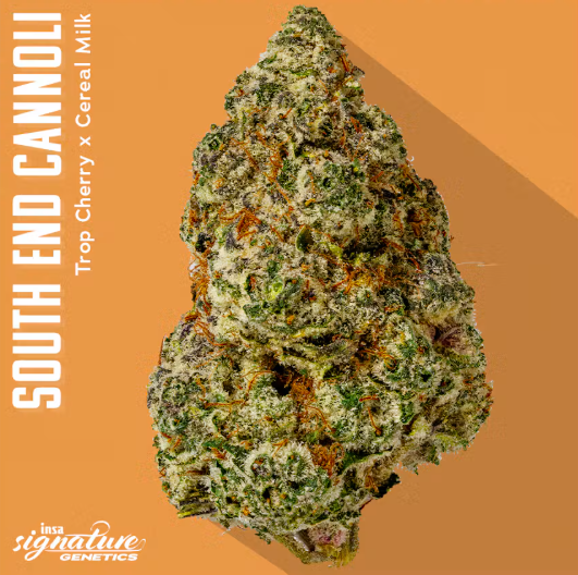 3.5g | South End Cannoli | INSA