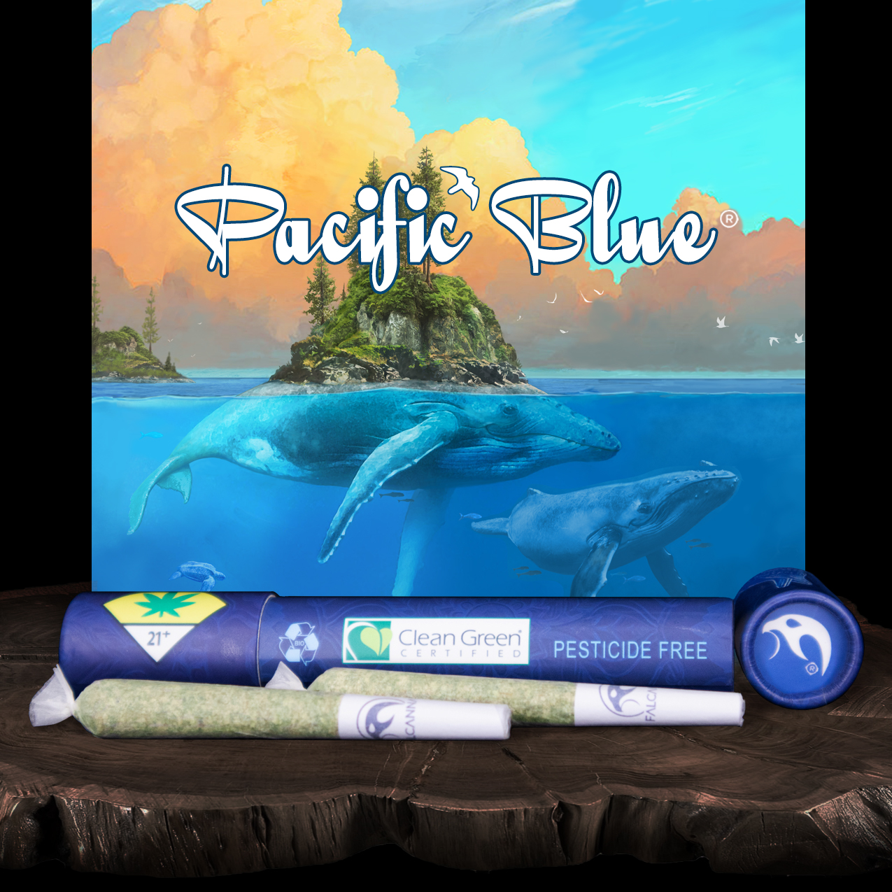 FALCANNA - Pacific Blue Pre-Roll 2-pack | 1.2g