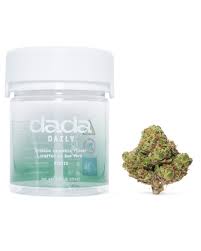 Dada (Daily) | Govt Oasis | Flower | 3.5g by DADA - flower cannabis product