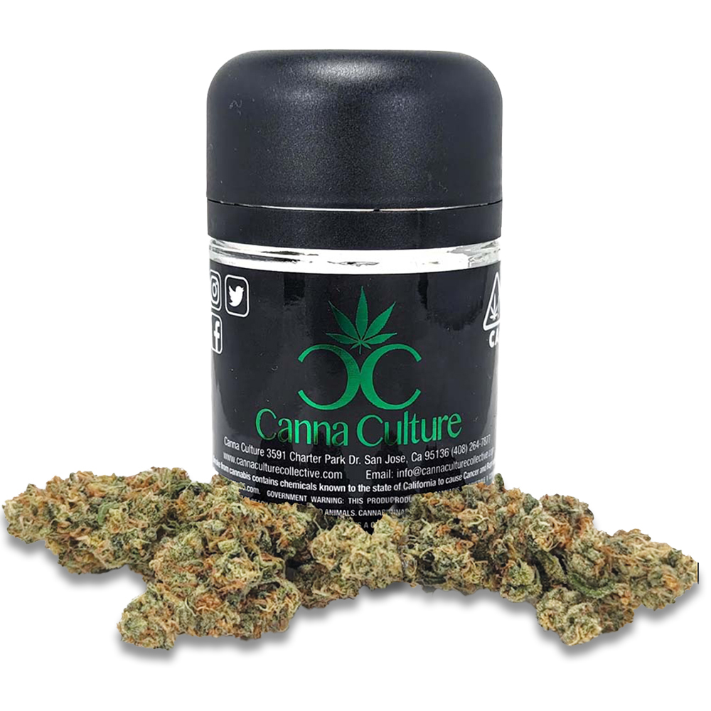 Canna Culture — Casa Blanca