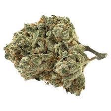 Alien Pebbles 7g