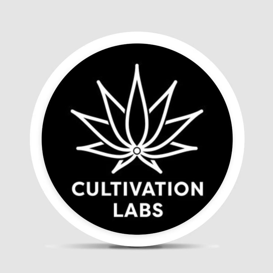 Cheddar Cheeze Pre Roll